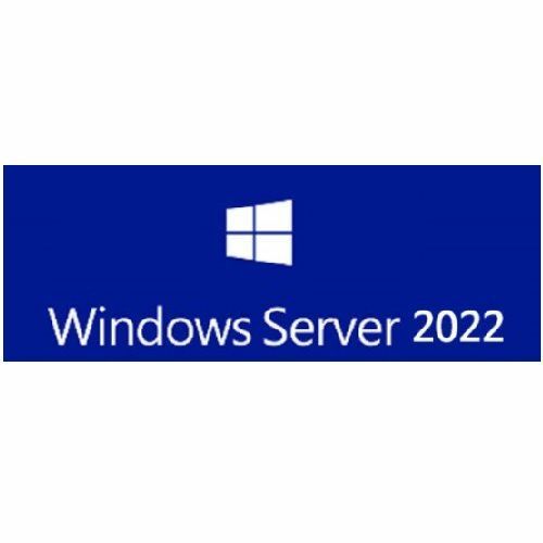 [Microsoft] [R18-06466] Windows Server CAL 2022 English 1pk DSP OEI 5 Clt User CAL